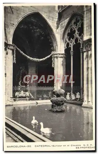 Cartes postales Barcelona Catedral Surtidor en el Claustro