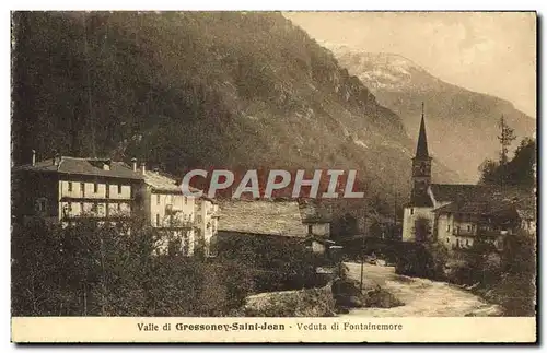 Ansichtskarte AK Valle di Gressoney Saint Jean Veduta di Fontatnemore