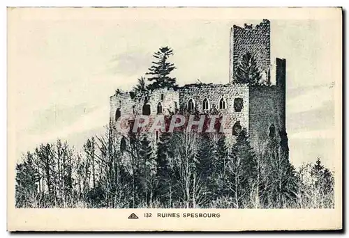 Cartes postales Ruines Spenbourg