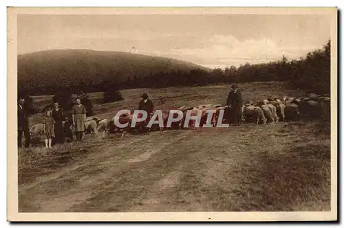Cartes postales Partie Na Radhosti Berger Moutons Enfant