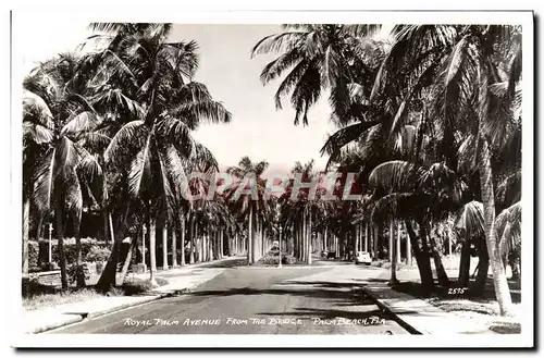 Cartes postales Royal Palm avenue From The Bridge Palm Beach Fla