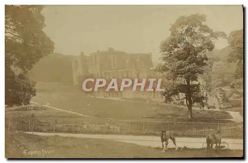 Cartes postales Furness Abbey Cheval
