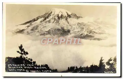 Cartes postales Mt Rainier From Plummer Peak Rainier Natl Park