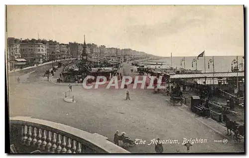 Cartes postales The Aquarium Brighton