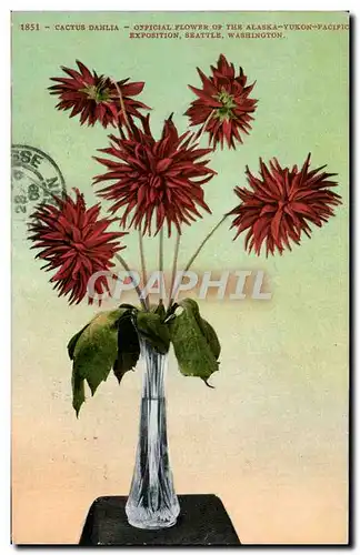 Cartes postales Cactus Dahlia Exposition Seattle Washington