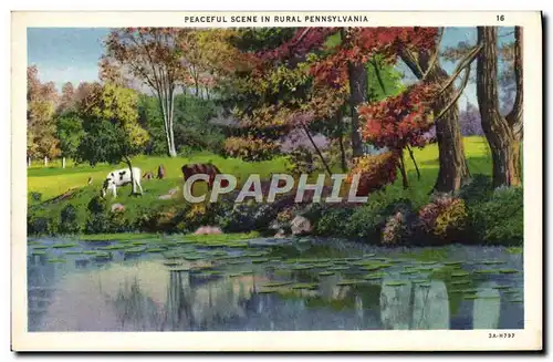 Cartes postales Peaceful Scene In Rural Pennsylvania