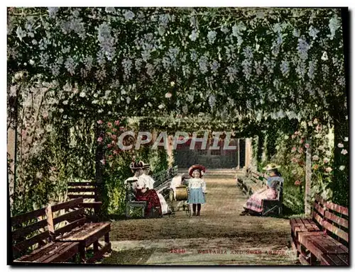 Cartes postales Wistaria and Rose Arbor