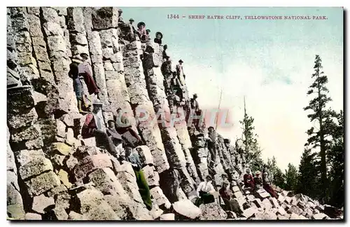 Cartes postales Sheep Eater Clipp Yellowstone National Park