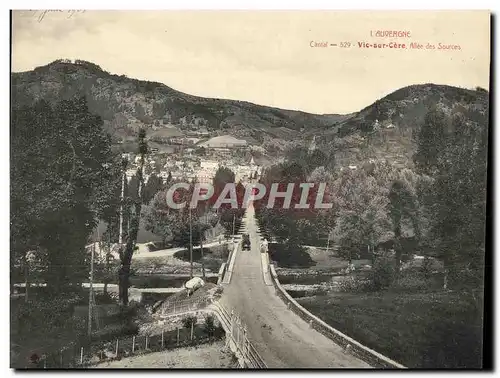 Cartes postales Grand Format L&#39Auvergne Cantal Vic sur Cere Allee des Sources 28.5 * 23 cm