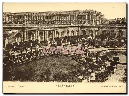 Cartes postales Grand Format Versailles Palais Le chateau de l'Orangerie 28 * 21 cm