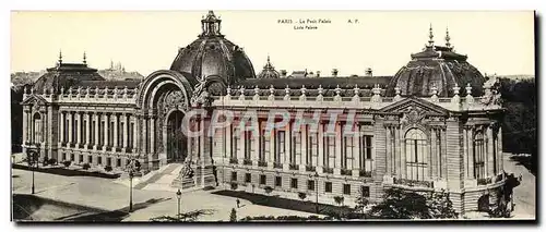 Cartes postales Grand Format Paris Le Petit Palais 28.5 * 11 cm