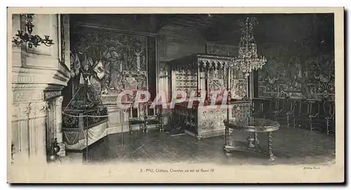 Cartes postales Grand Format Pau Chateau ou est ne Henri IV 27 * 14 cm