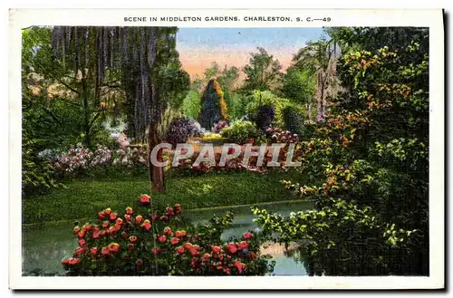 Ansichtskarte AK Scene in Middleton Gardens Charleston S C