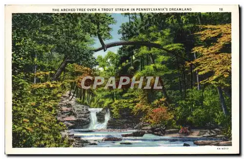 Ansichtskarte AK The Arched Tree Over A Trout Stream In Pennsylvania&#39s Dreamland