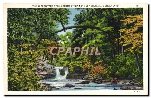 Cartes postales The Arched Tree Over A Trout Stream In Pennsylvania&#39s Dreamland