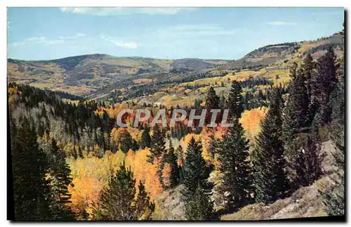 Cartes postales moderne Autumn Scene In Utah Highway 14 on Cedar Mountain Leading To Cedar Breaks