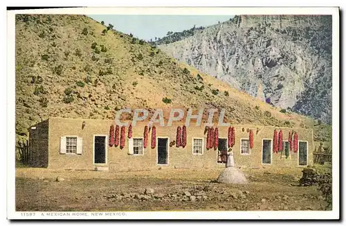 Ansichtskarte AK A Mexican Home New Mexico