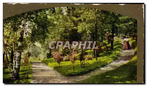 Cartes postales A shady lane