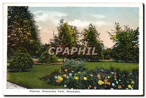 Cartes postales Peonies Minnehaha Park Minnesota