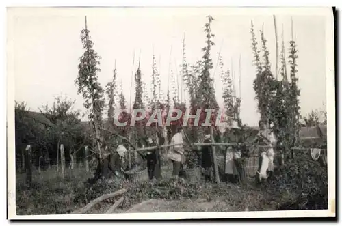 Photo Vignobles Folklore