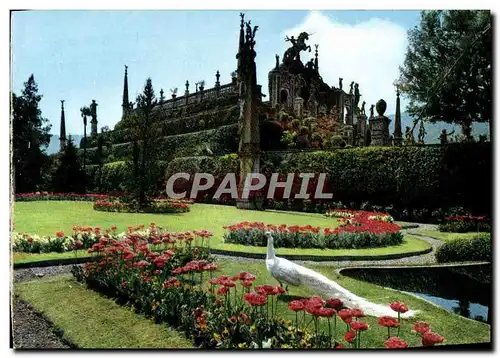 Cartes postales moderne Lago Maggiore Isola Bella Giardino