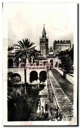 Cartes postales moderne Sevilla La Giralda Desde Los Reales Alcazares La Giralda Des l&#39Alcazar Royal