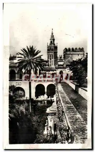 Moderne Karte Sevilla La Giralda Desde Los Reales Alcazares La Giralda Des l&#39Alcazar Royal