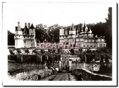 Cartes postales moderne Le Chateau De Rigny Usse La Facade Sur Les Terrasses