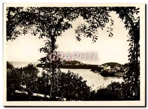 Cartes postales moderne St Jean Cap Ferrat