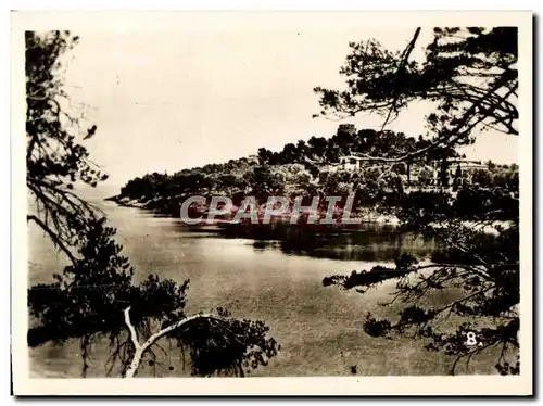 Cartes postales moderne St Jean Cap Ferrat