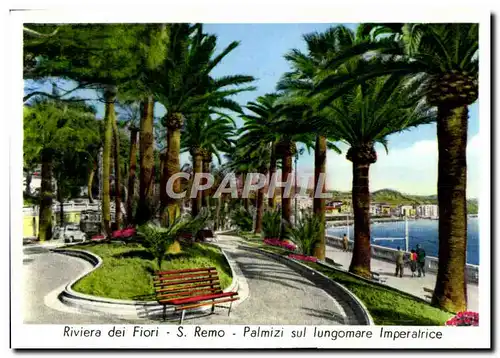 Cartes postales moderne Riviera dei Fiori Remo Palmizi sul Iungomare Imperatrice