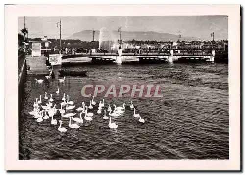 Cartes postales moderne Geneve Le Lac Leman et le Jet D&#39eau