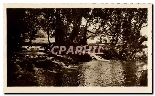 Cartes postales moderne Ifrane Oued bords d'arbres