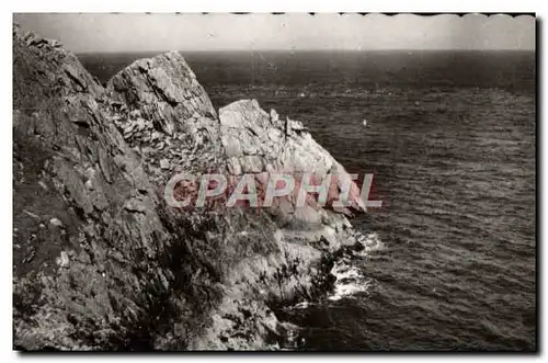 Cartes postales moderne La Pointe du Raz