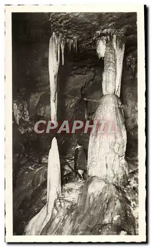 Cartes postales moderne Les Grottes De Betharram Stalactites Vivantes