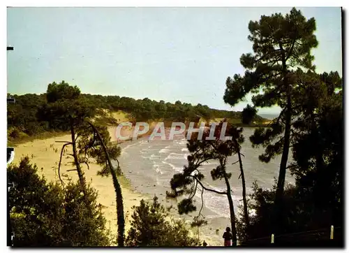 Cartes postales moderne Corniche de St Georges de Didonne a Meschers Plage de Suzac