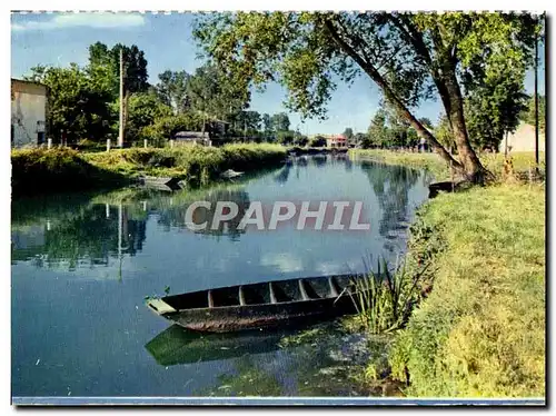 Cartes postales moderne Le Grand Canal Et La Sevre
