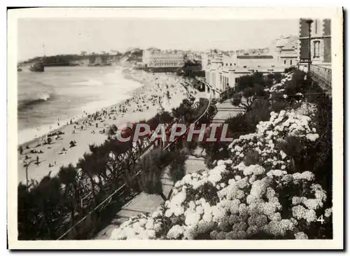 Cartes postales moderne Cote basque