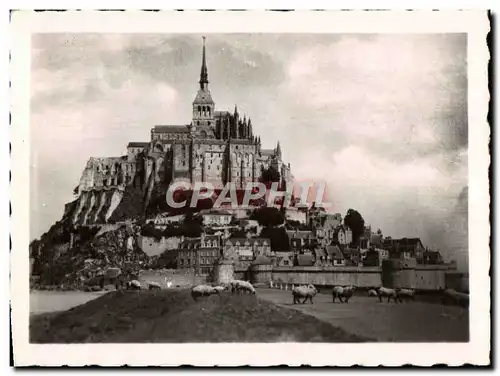 Cartes postales moderne Mont Saint Michel Le Mont A L&#39Arrivee