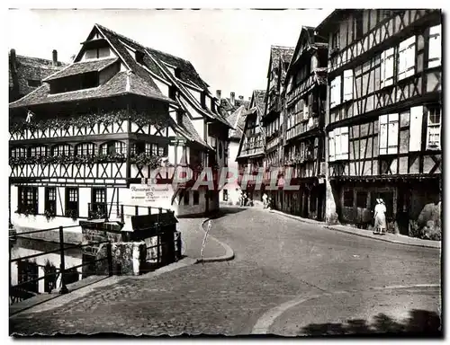 Cartes postales moderne Strasbourg Le Bain Aux Plantes