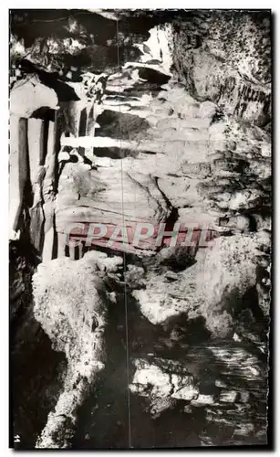 Cartes postales moderne Grottes D'Arcy Sur Cure La Coquille St Jacques