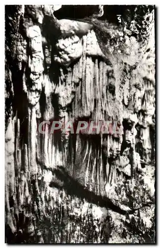 Cartes postales moderne Grottes D'Arcy Sur Cure Draperies Du Salon Gothique