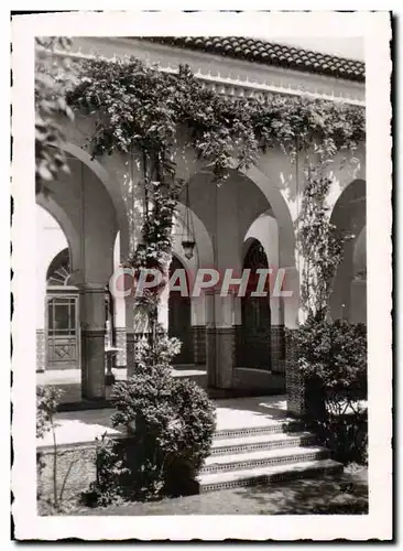 Cartes postales moderne Mosquee De Paris Petit Patio Sur Cour d&#39Honneur