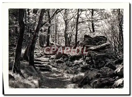 Cartes postales moderne Mont Sainte Odile Le Mur Palen