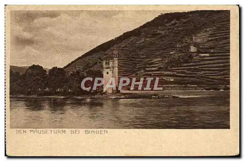 Cartes postales Der Mauseturm Bel Bingen