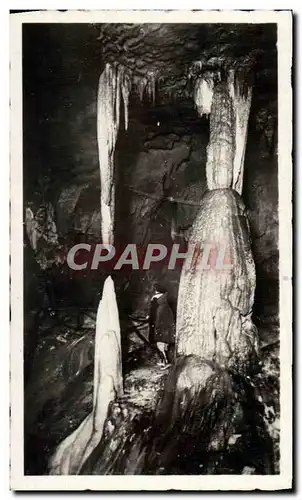 Cartes postales moderne Les Pyrenees Les Grottes De Betharram Stalactites Vivantes