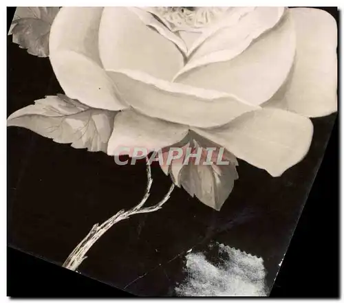 Cartes postales Fantaisie Enfant dans une rose