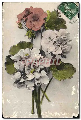 Cartes postales Fantaisie Fleurs