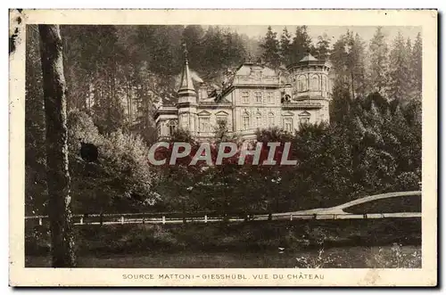 Cartes postales Source Mattoni Giesshubl Vue Du Chateau