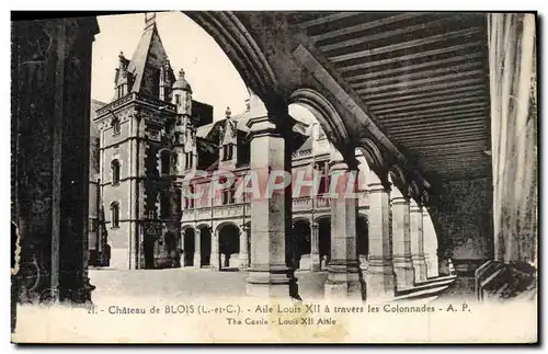 Cartes postales Chareau de Blois Aile Louis XII a travers la colonnade